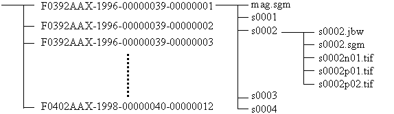 $B!V>pJs4IM}!W;o(JSGML$B%G!<%?$N%U%!%$%k9=@.(J